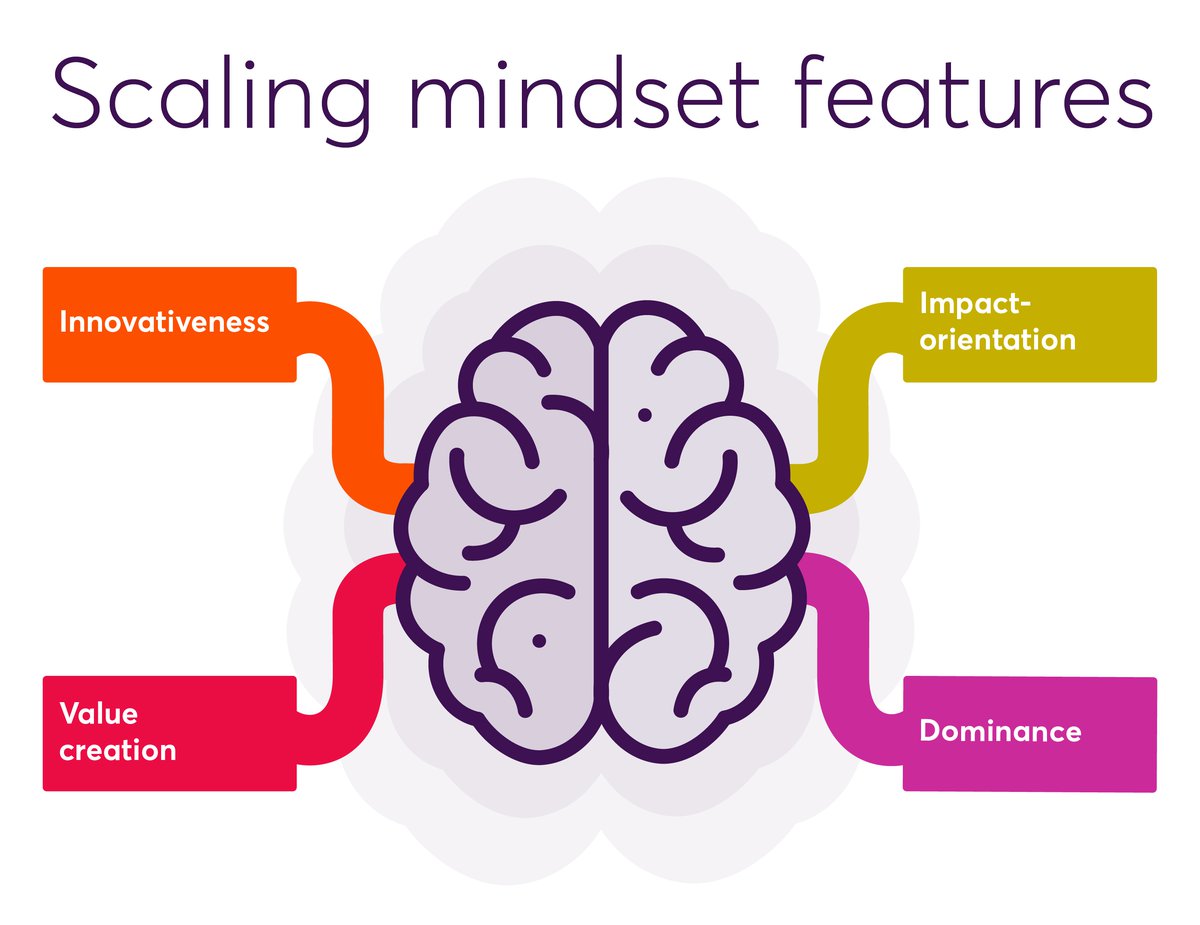 Scaling mindset features