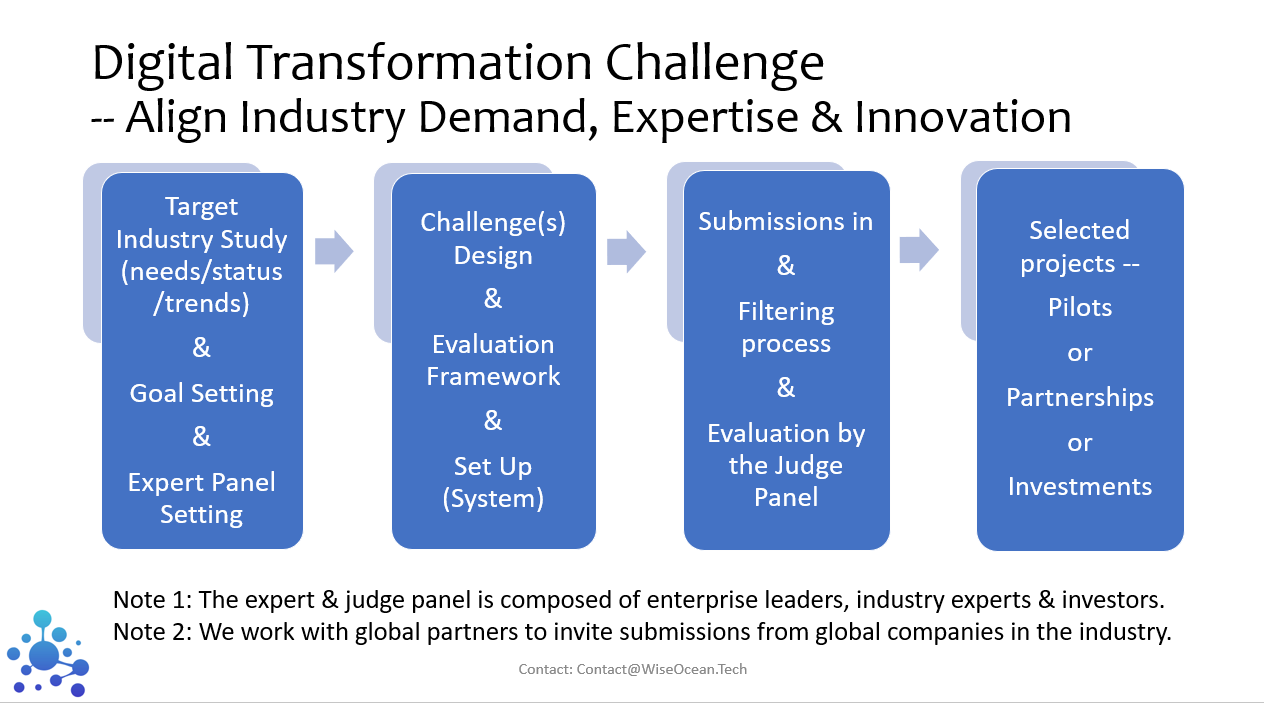Digital Transformation Challenge Program