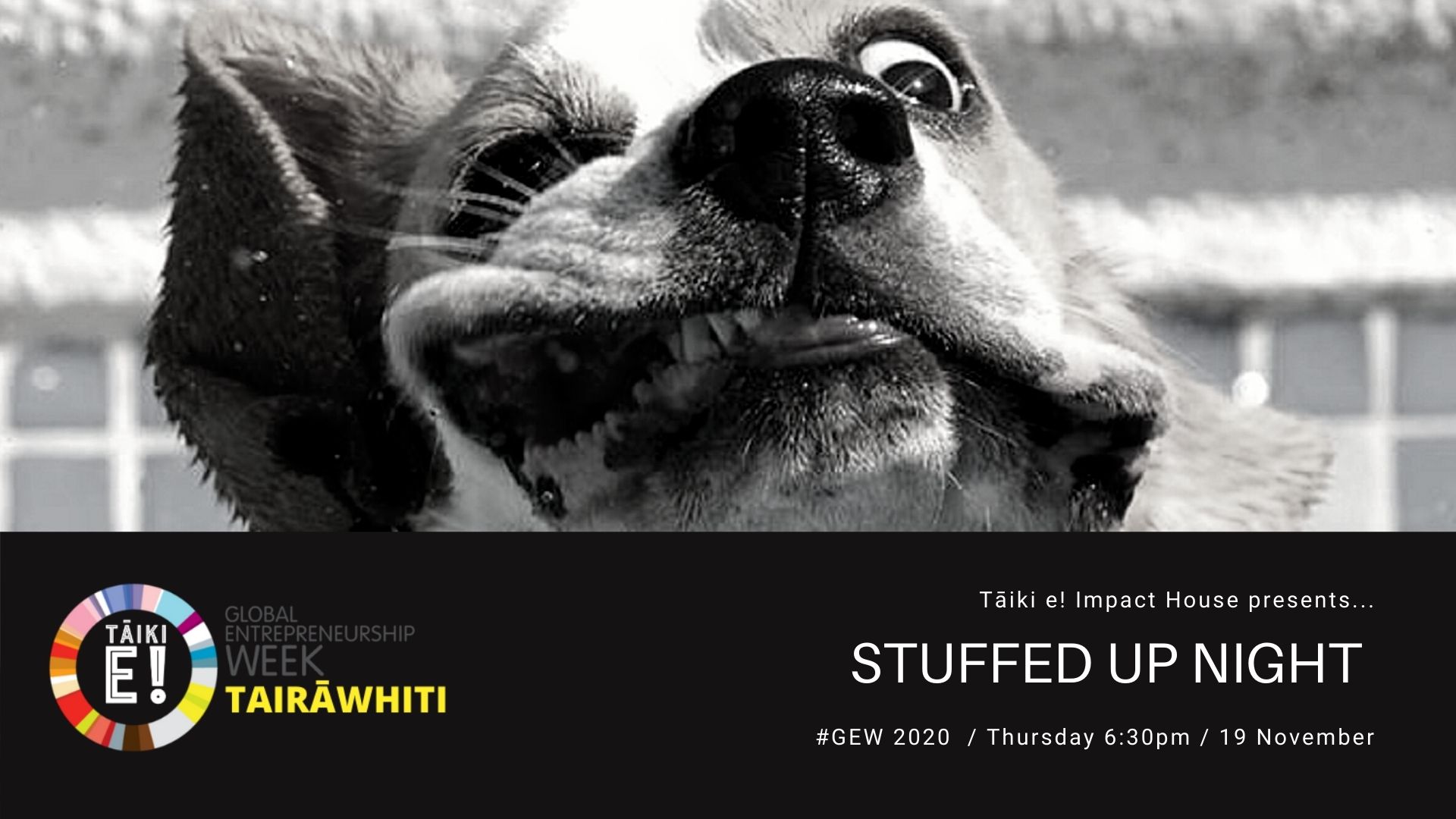 StuffedUp Night