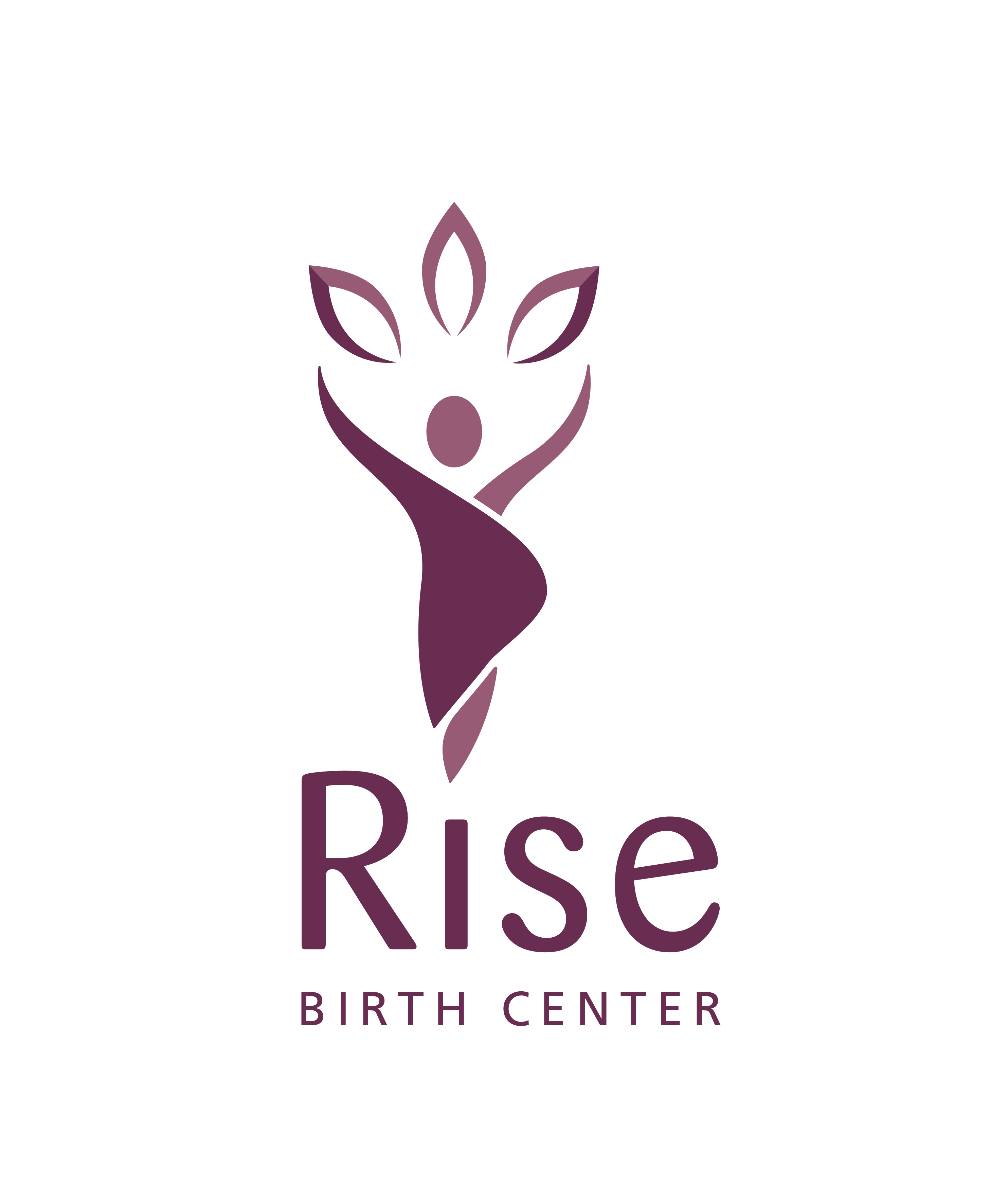 https://risebirthcenter.com/