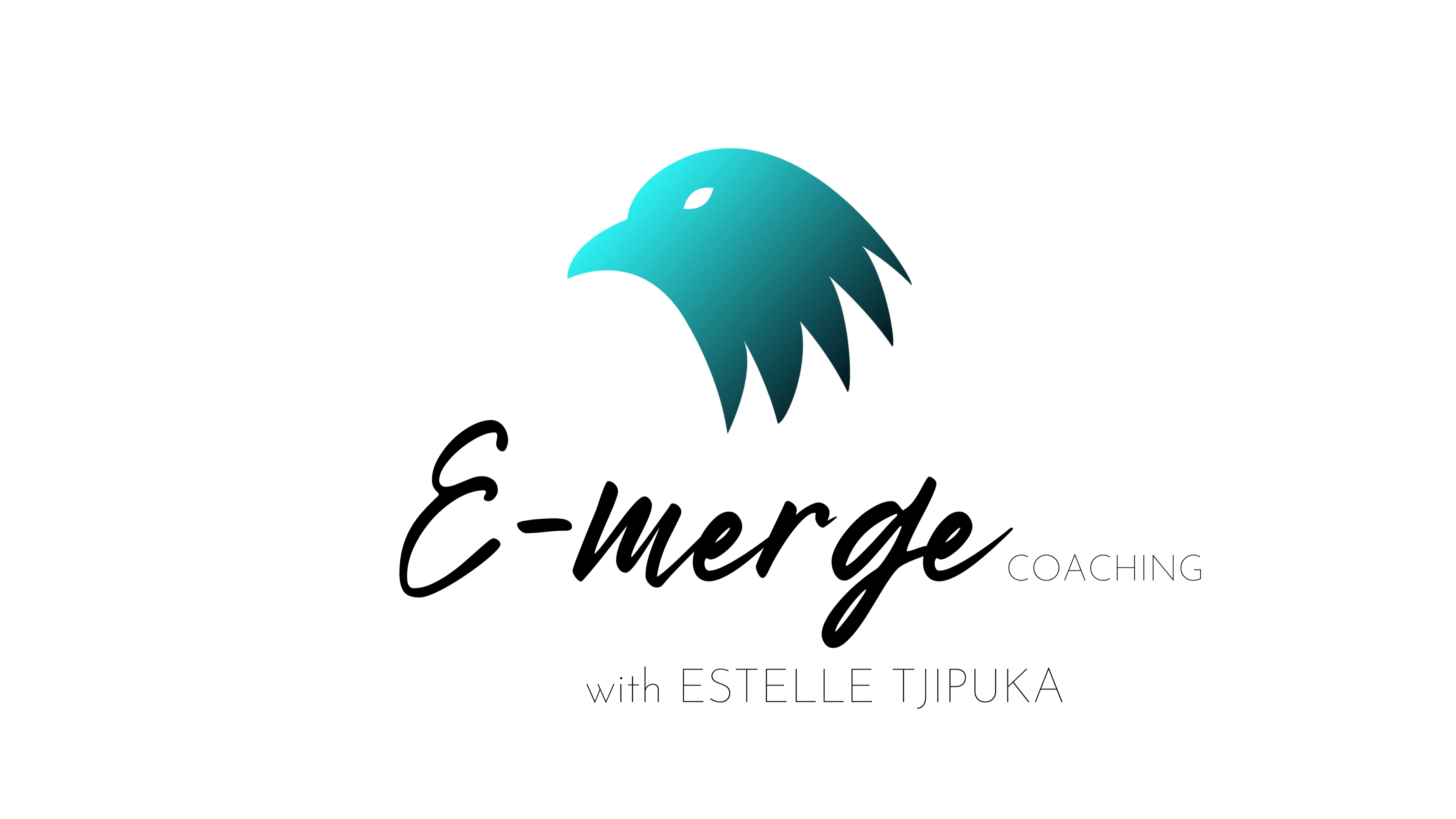 Emerge coaching Academy