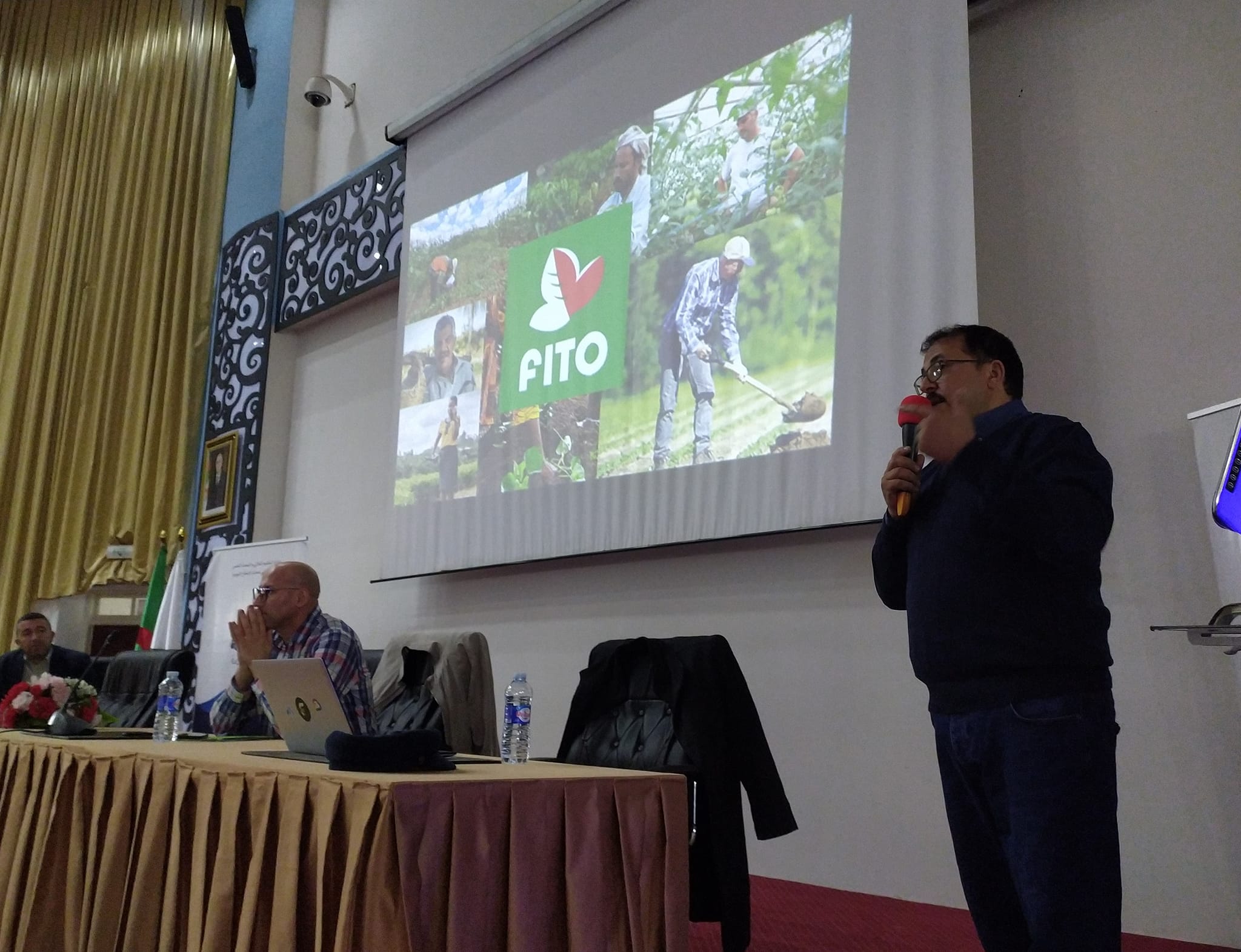 Présentation Fito