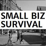 Small Biz Survival text over a photo of a small town downtown