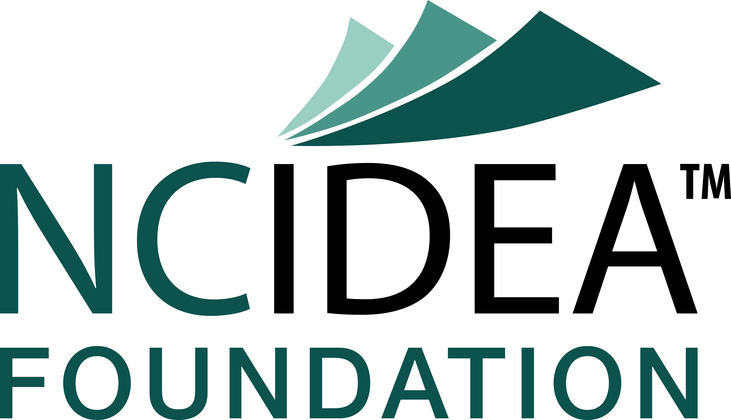NC IDEA Foundation