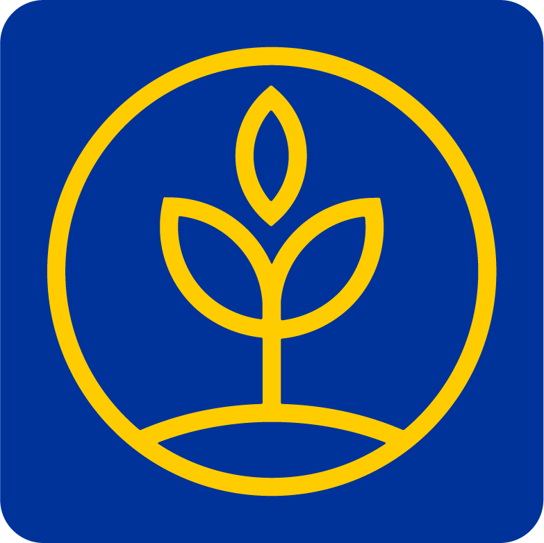 SLEM academy