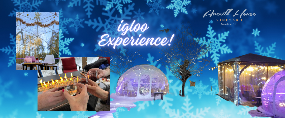 igloo and gazebo experience with wine pairing and charcuterie board for groups of 2-12 adults