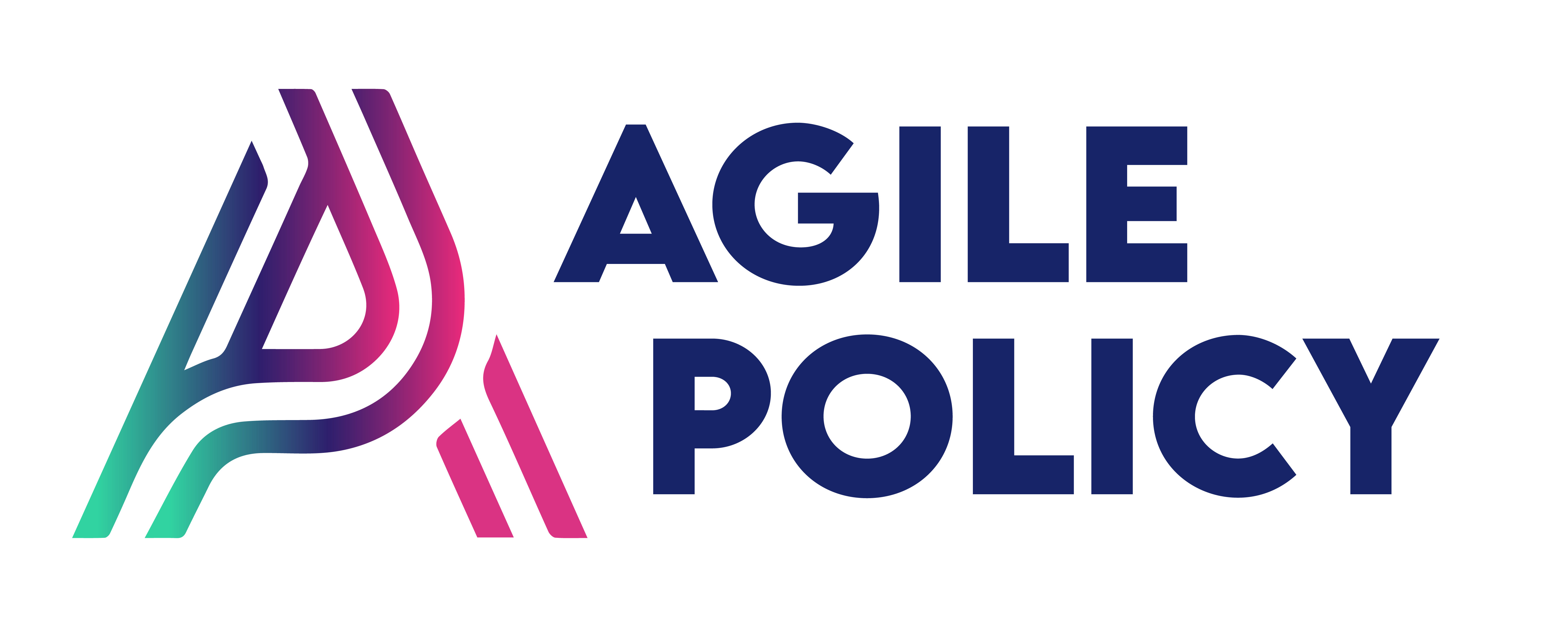 Agile Policy