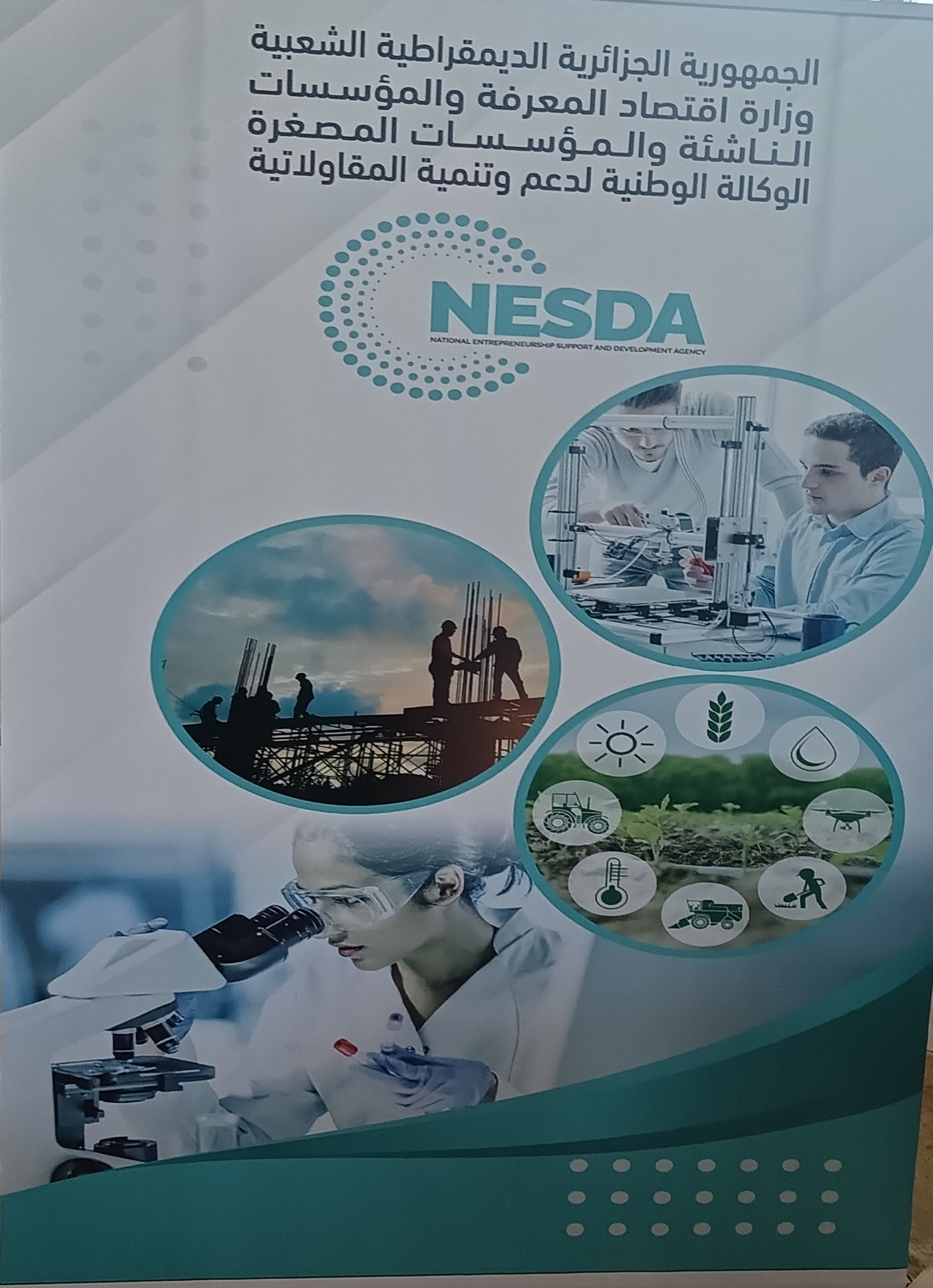 المقاولاتية