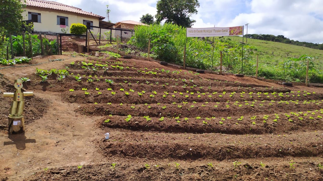 horta comunitária criada na escola