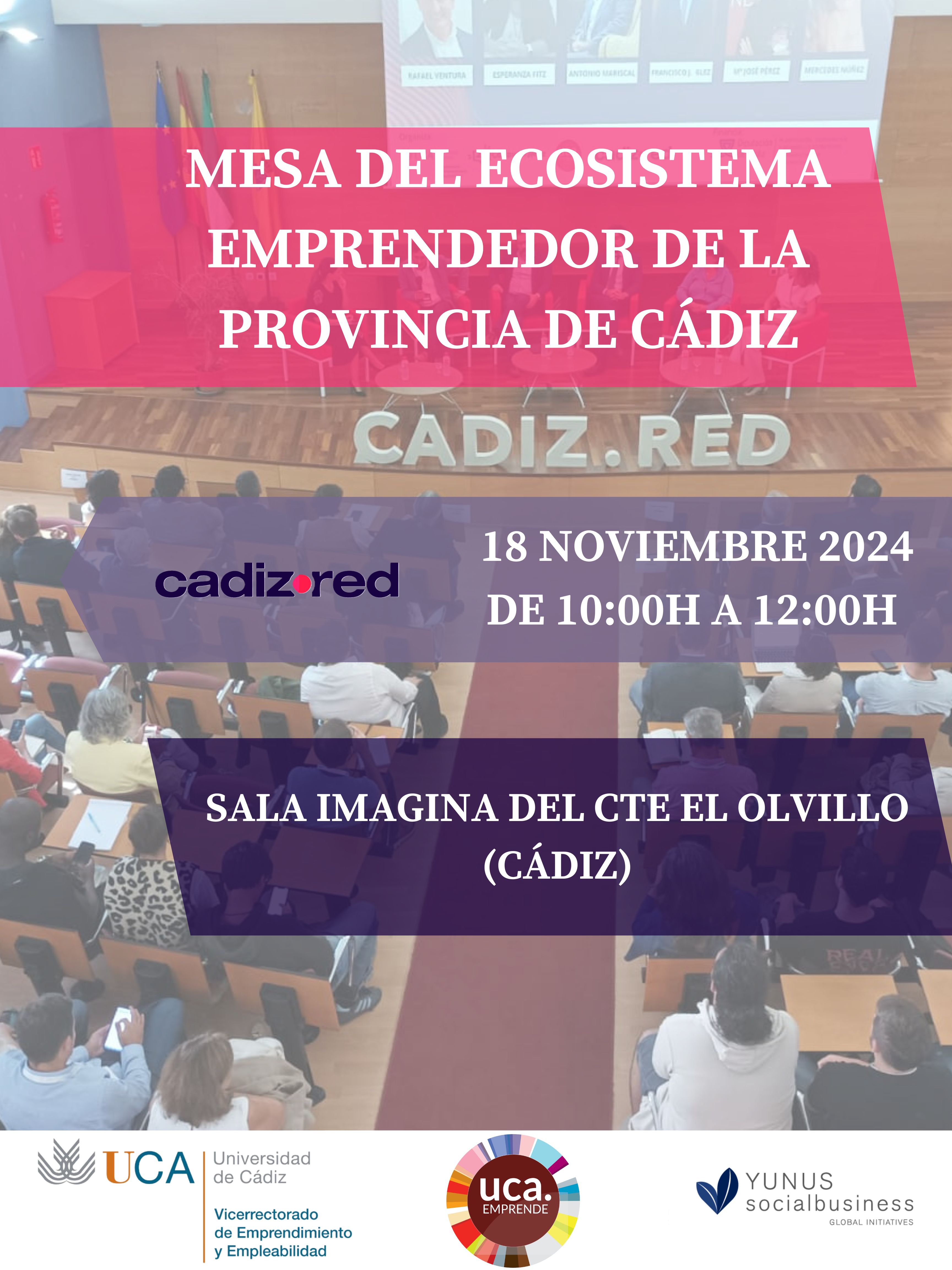 Mesa de Ecosistema  Emprendedor de la provincia de Cádiz -Cadiz.Red- 