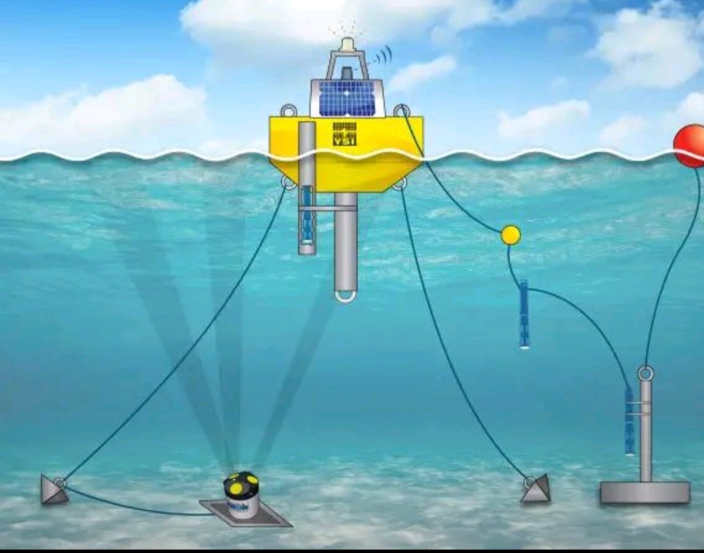 AI in aquaculture 