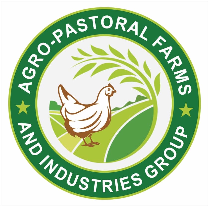 A Guinean's impactful Startup