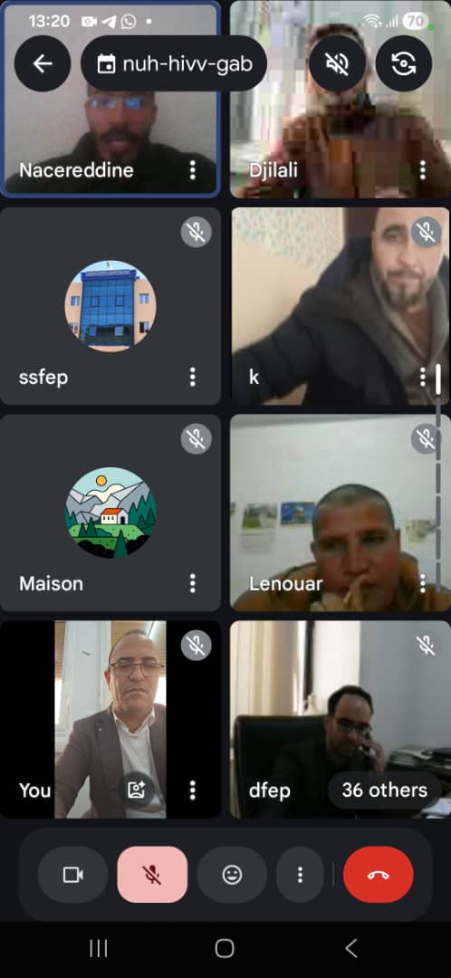 التحاضر عن بعد 