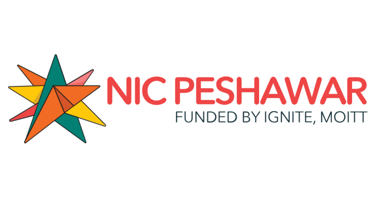 NIC Peshawar Logo