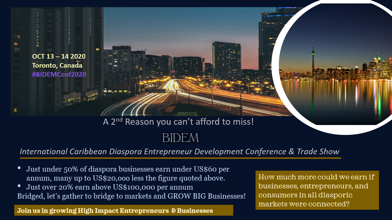 bidem reason 2
