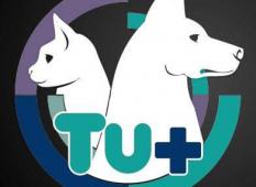 Profile picture for user tumas.pets_9696