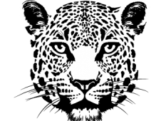 Profile picture for user andres_10162