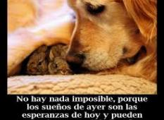 Profile picture for user maryluz2138_10606
