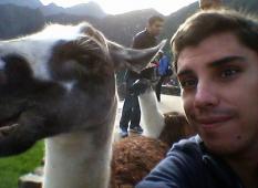 Profile picture for user enrique.fuentes_13403
