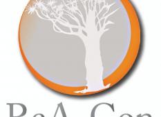 Profile picture for user polycarpd_19933