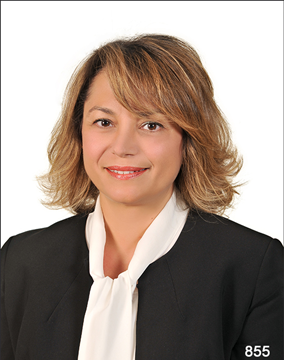 Profile picture for user Elif Kosok