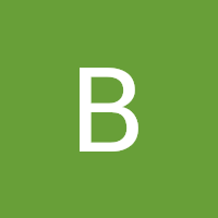 Profile picture for user Bernard Nassiuma