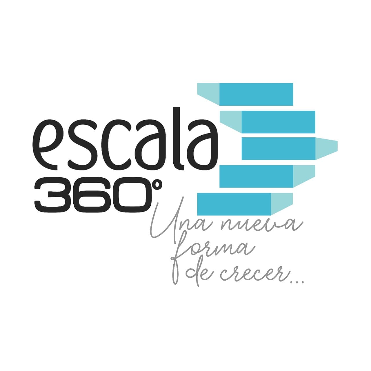Profile picture for user escala360_py