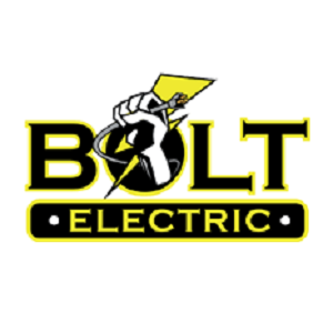 Profile picture for user boltelectricsa