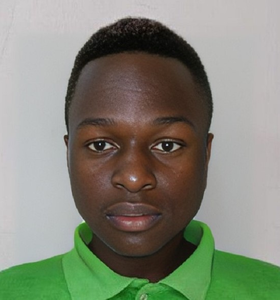 Profile picture for user joelndayisaba