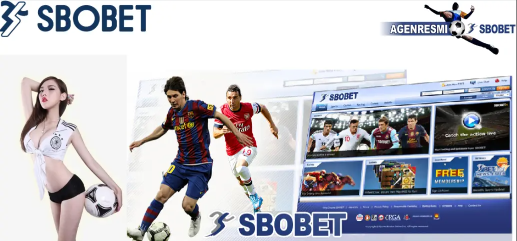 Profile picture for user SBOBET888