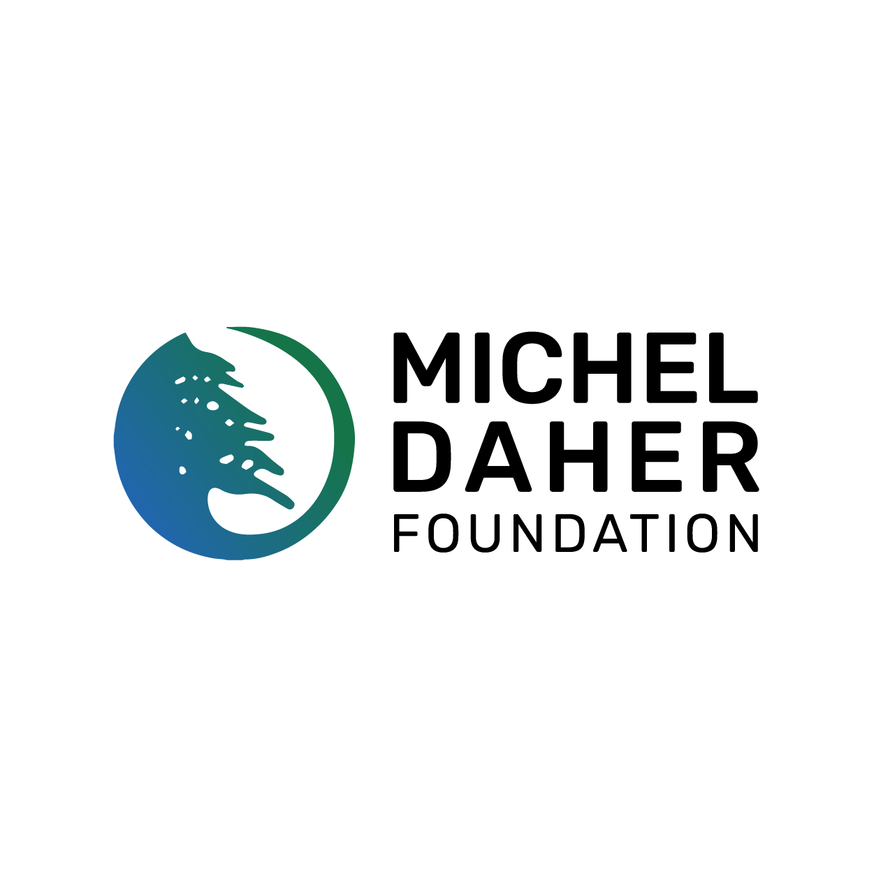 Profile picture for user MichelDaherFoundation