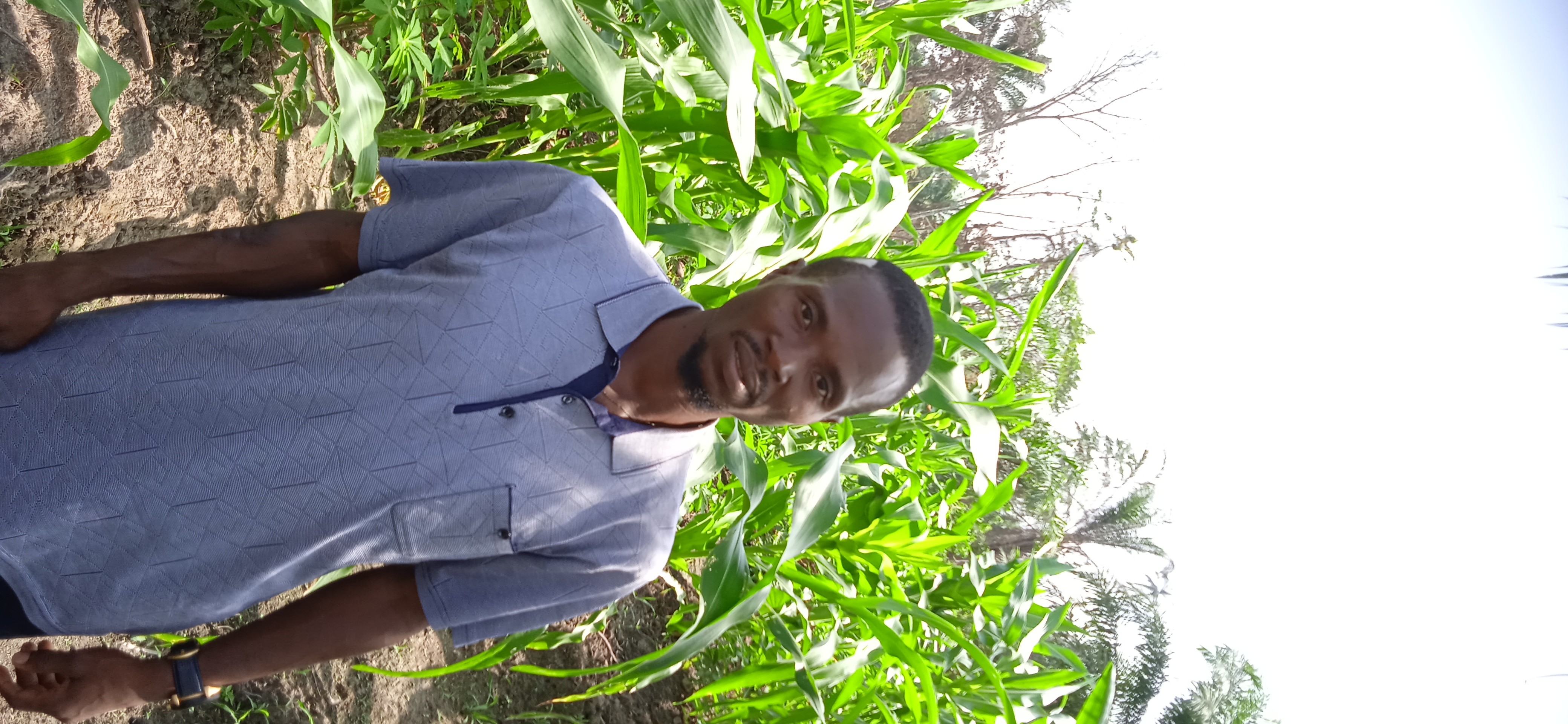 Profile picture for user clinton.ebeku