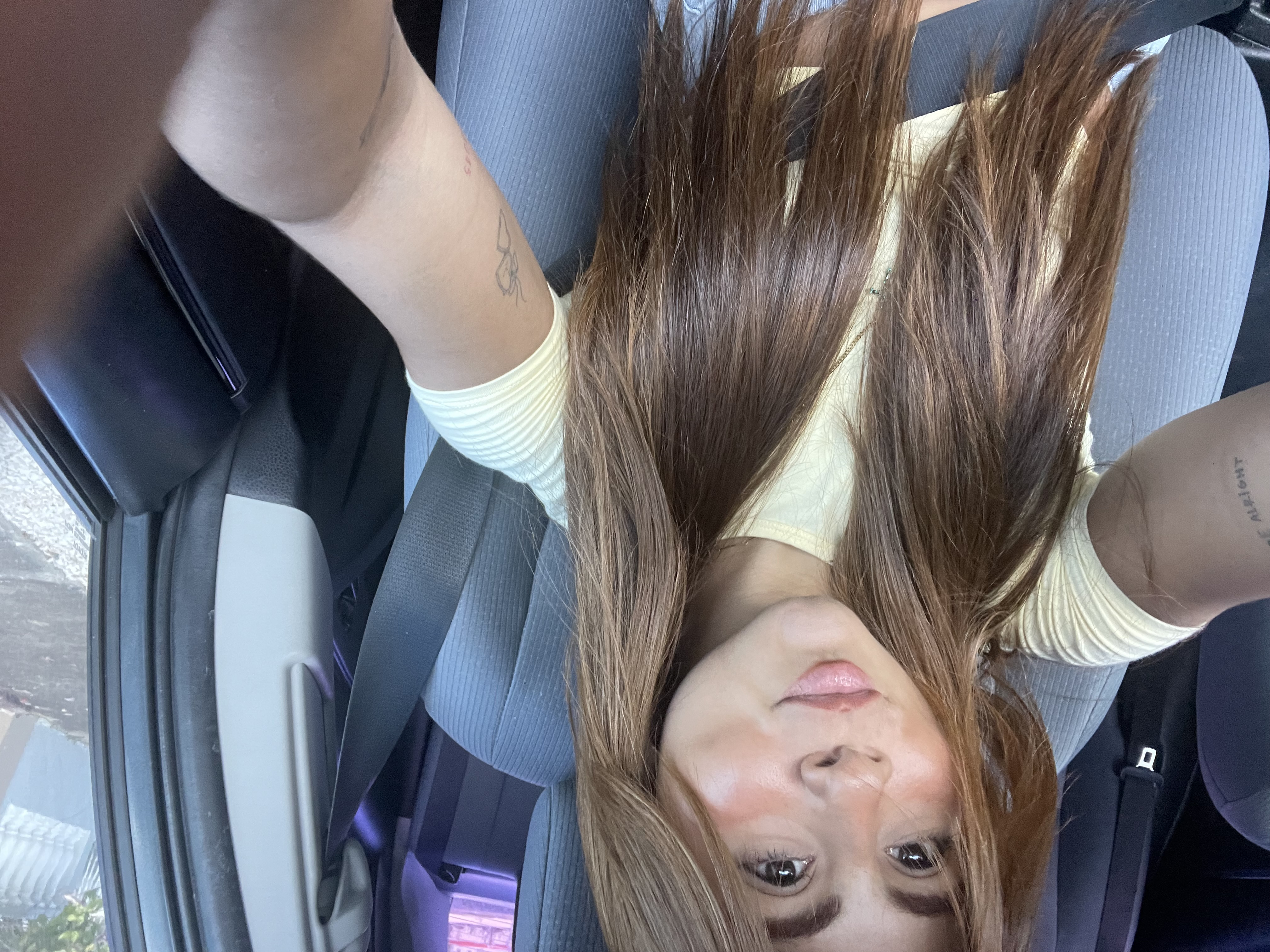 Profile picture for user isabelcalimano