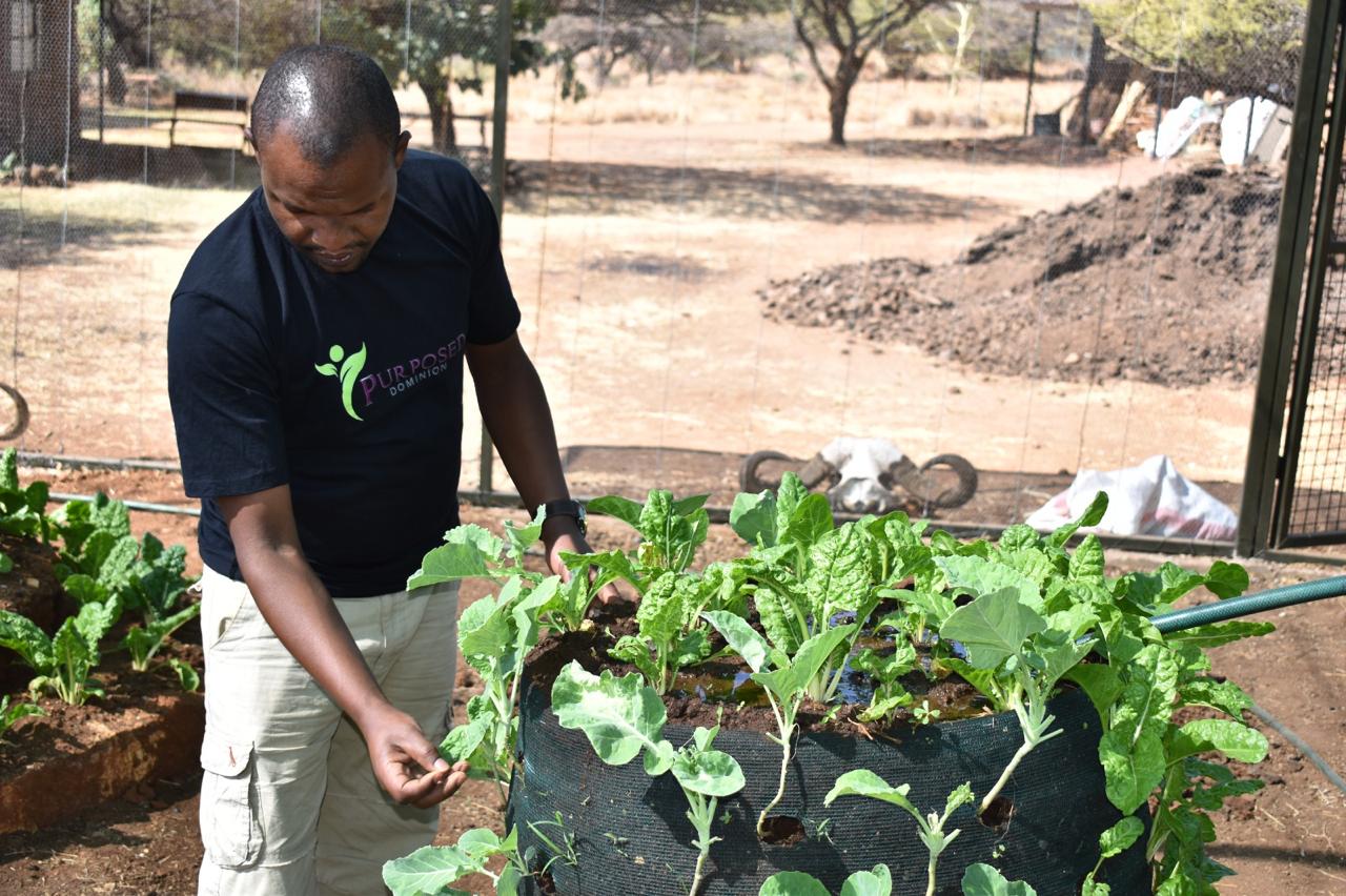Profile picture for user kimdedan7