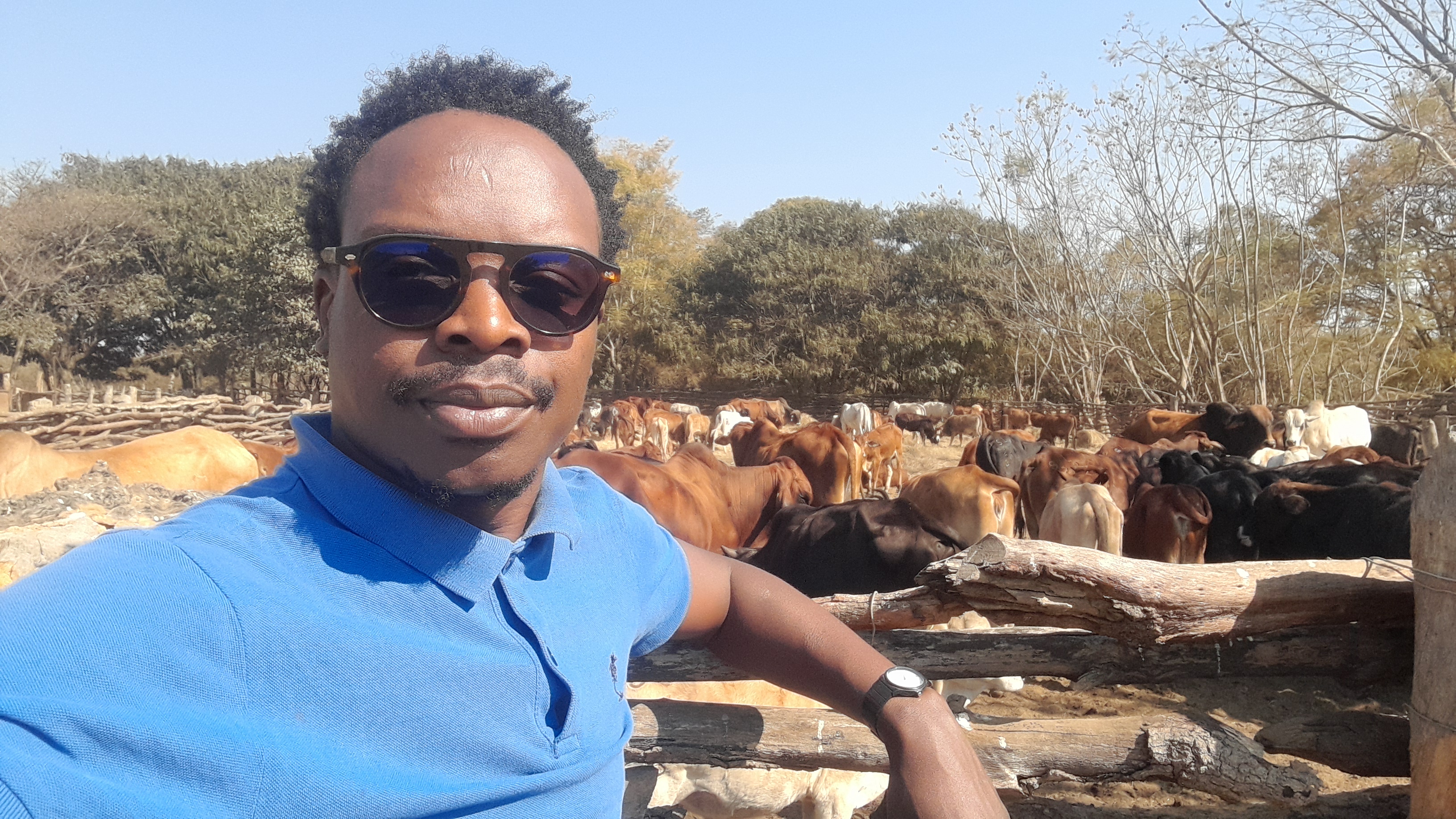 Profile picture for user felixmbewe