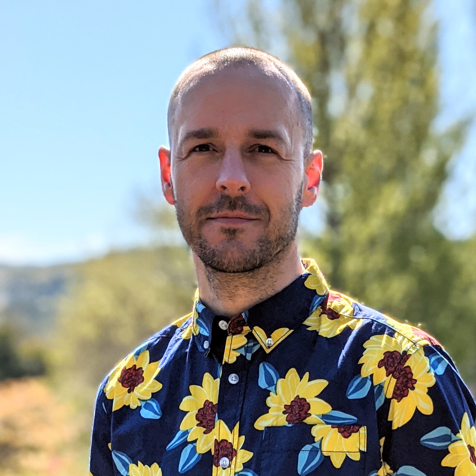 Profile picture for user chrisironside