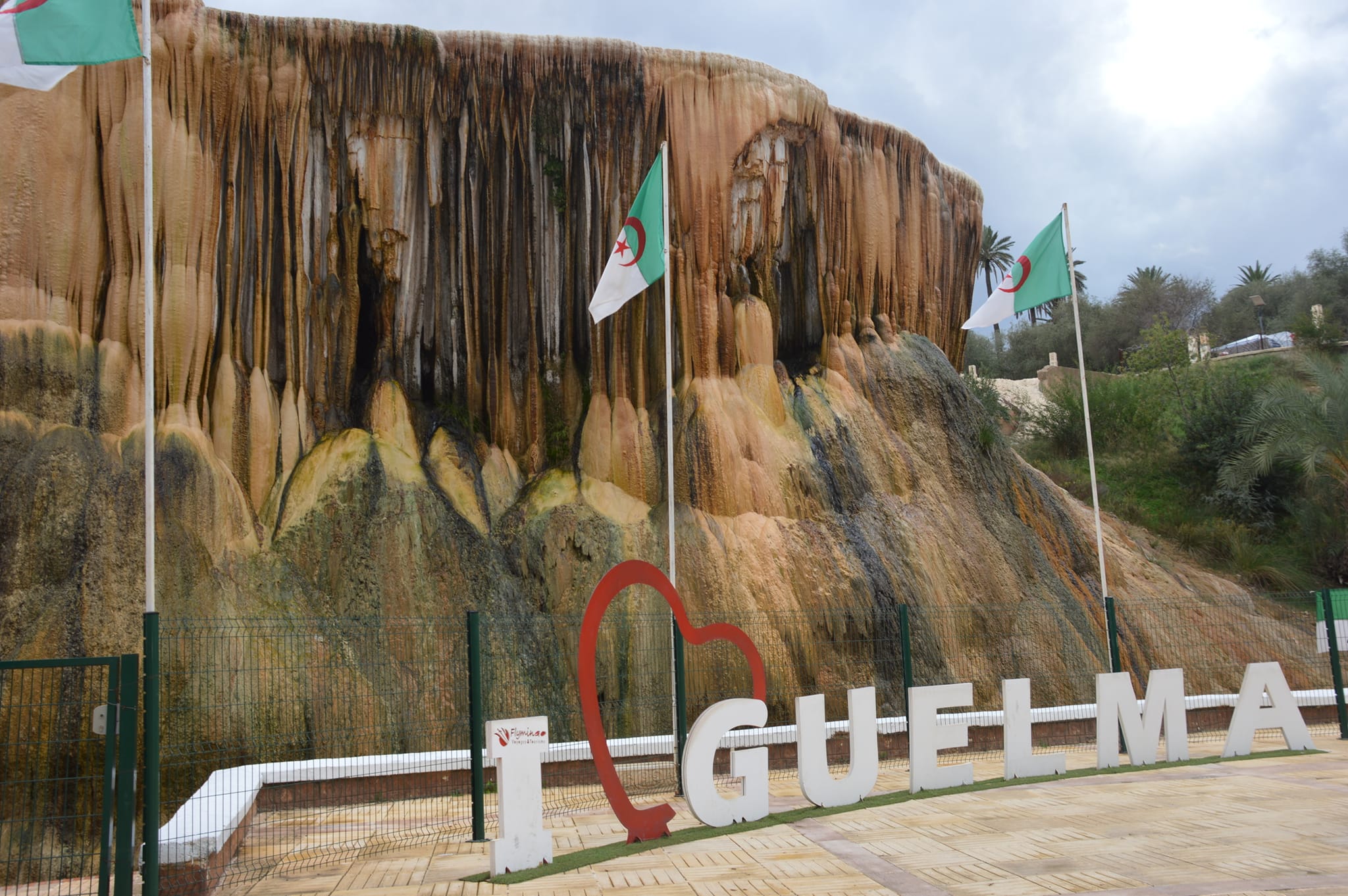 Profile picture for user wildtn.guelma