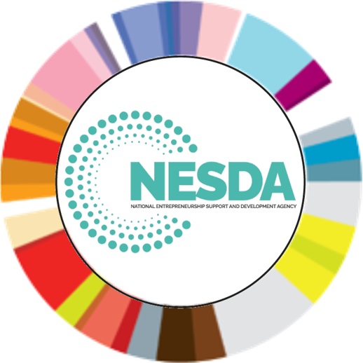 Profile picture for user NESSDA
