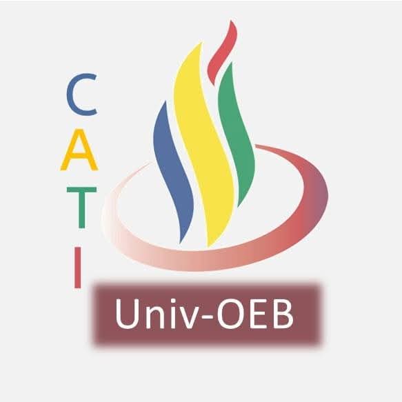 Profile picture for user cati_OEB