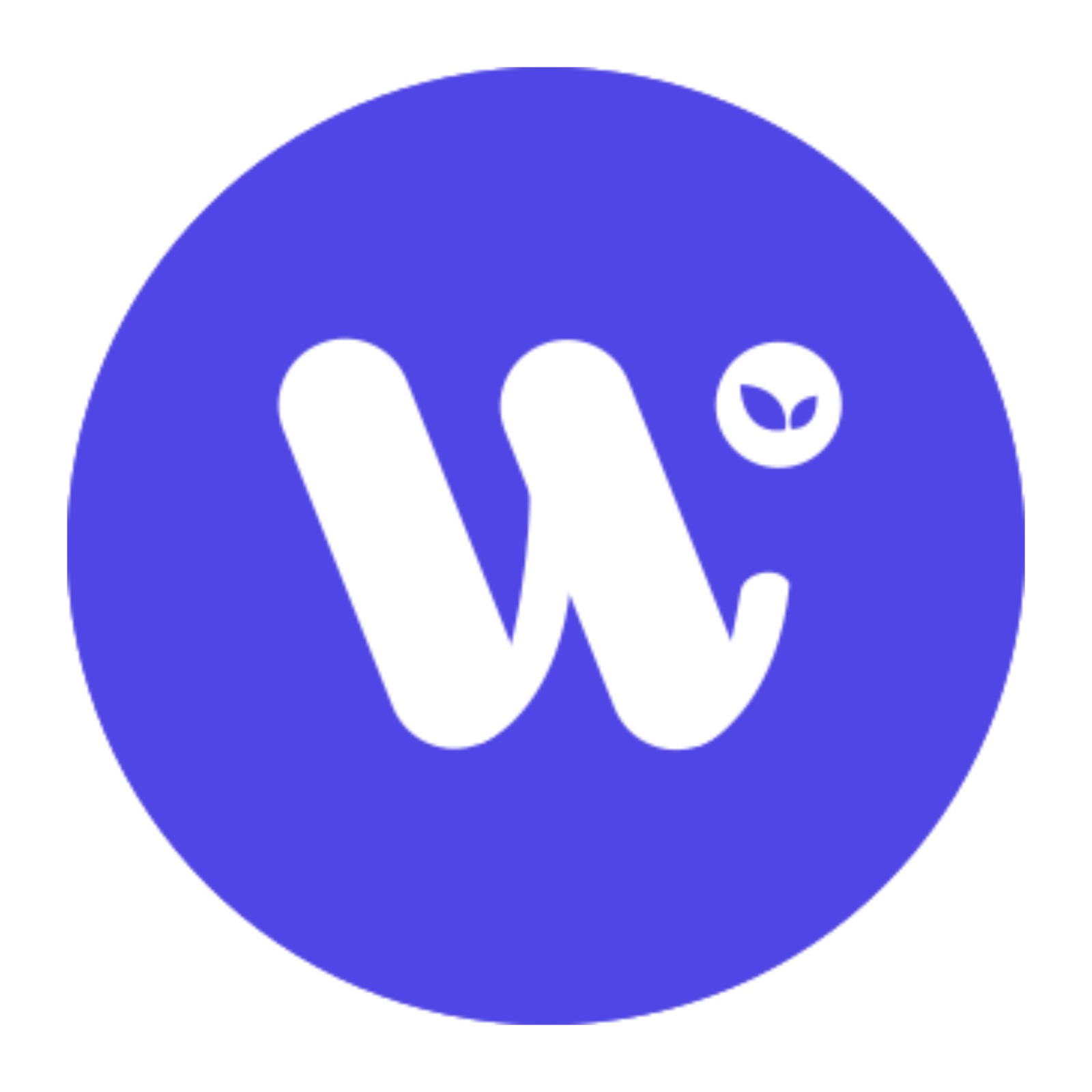 Profile picture for user info.webmints