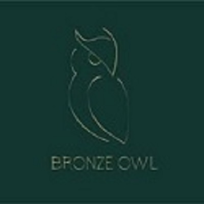 Profile picture for user thebronzeowlnyc