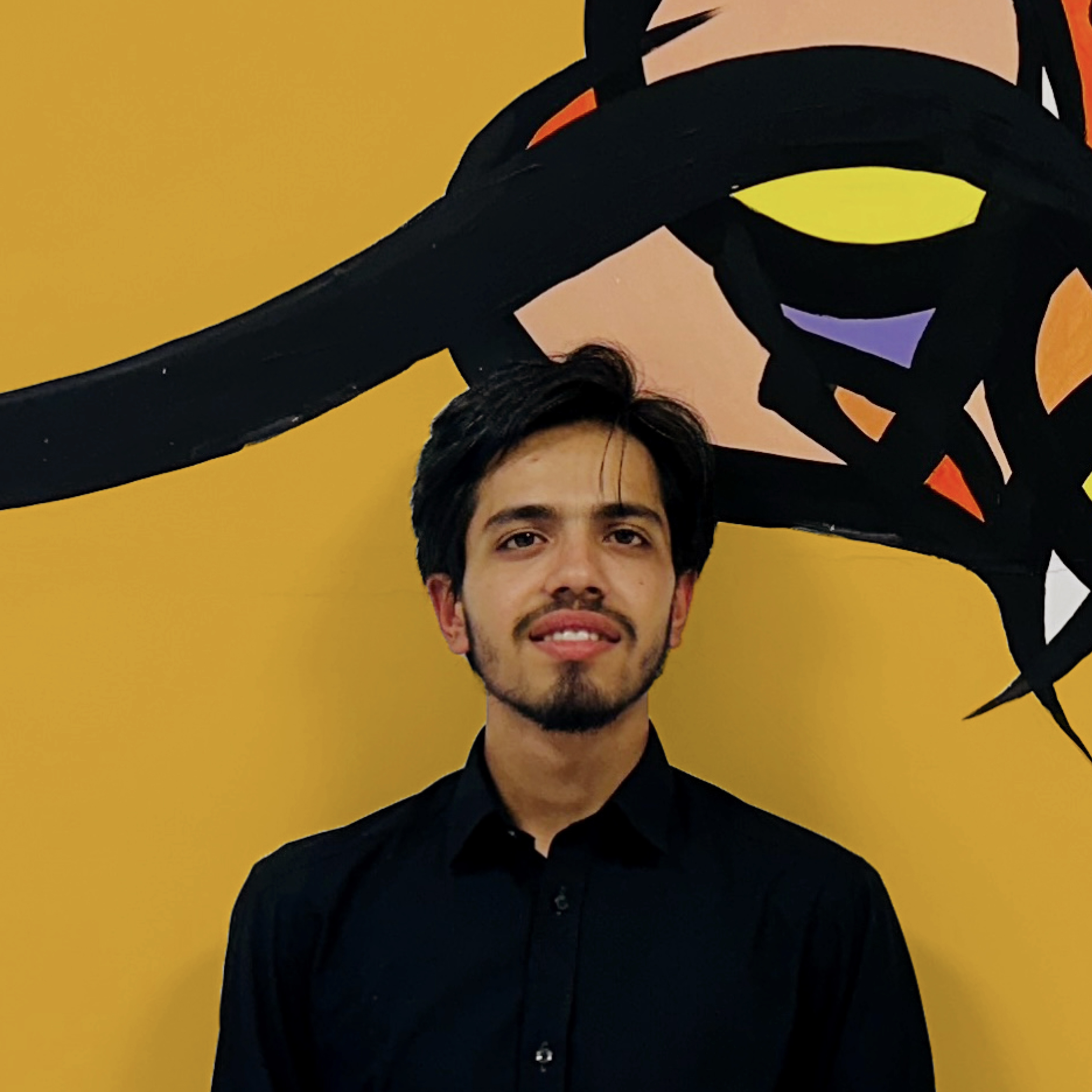 Profile picture for user suhail