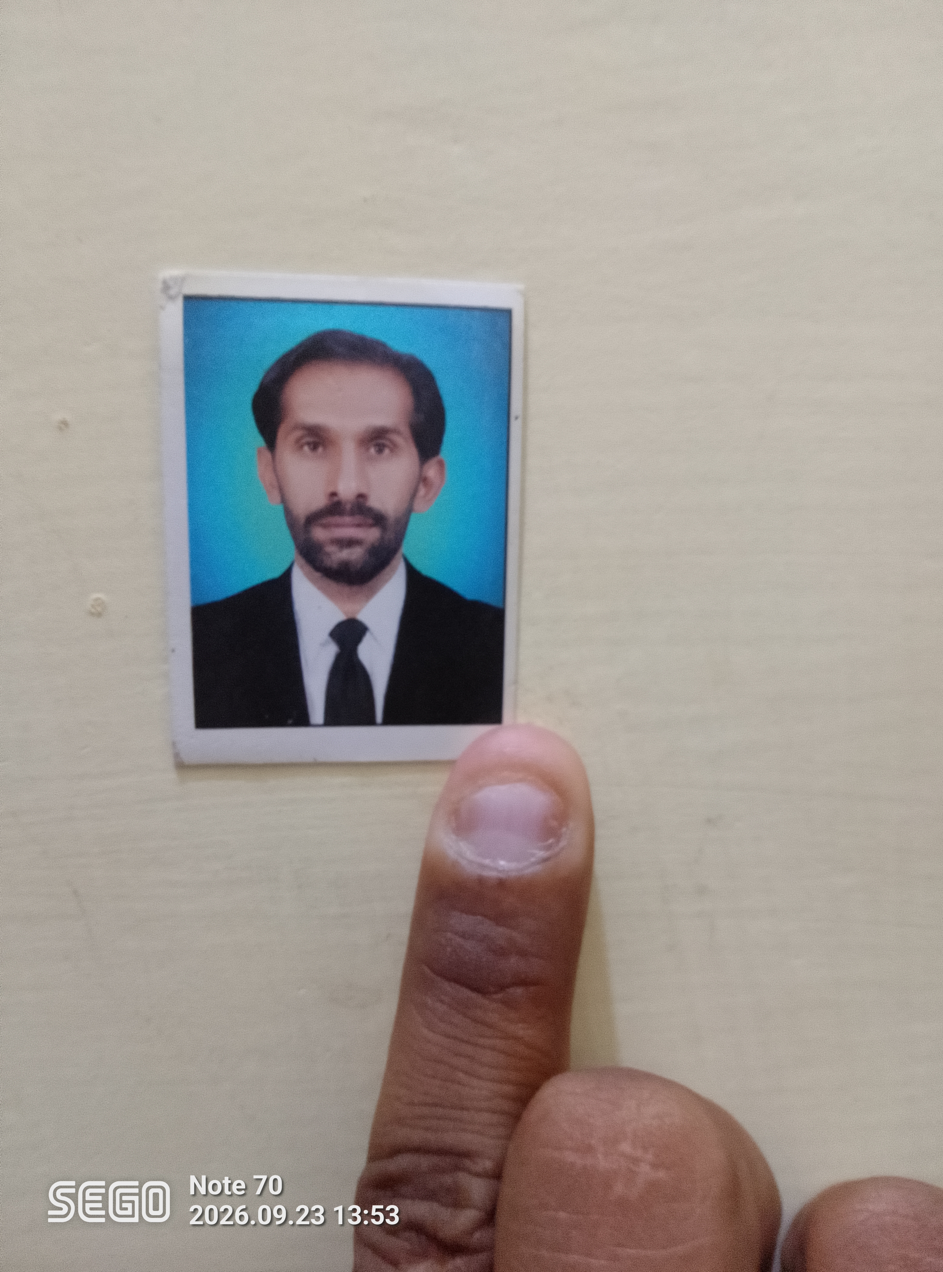 Profile picture for user shabirchandio2018