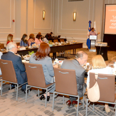 Ministry of Industry, Commerce and MSMEs of the Dominican Republic. 