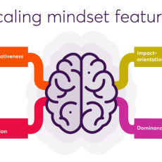 Scaling mindset features