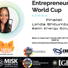 Linda Shitumbapo, Bailin Energy