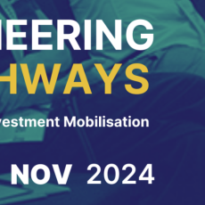 Pioneering Pathways Innovating Investment Mobilisation in Africa