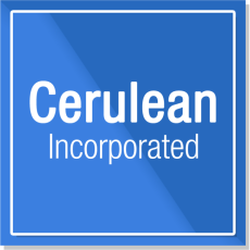 Profile picture for user Cerulean Inc.