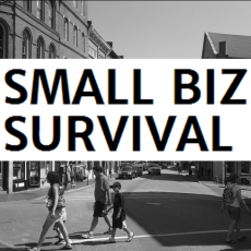 Profile picture for user SmallBizSurvival