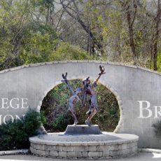 Profile picture for user GEW Aggieland